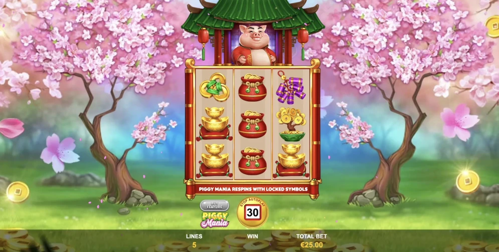 Piggy Mania