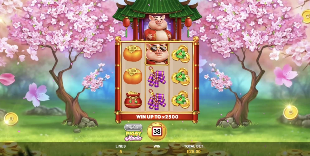 Piggy Mania Slot
