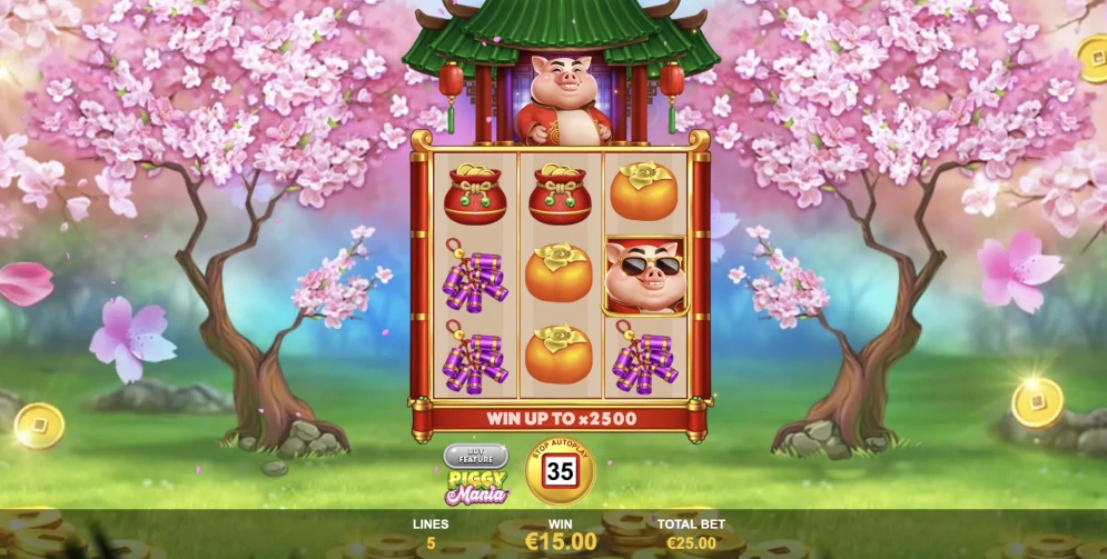 Piggy Mania